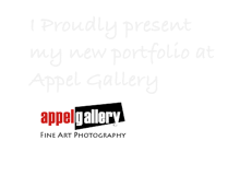 I Proudly present my new portfolio at Appel Gallery￼
